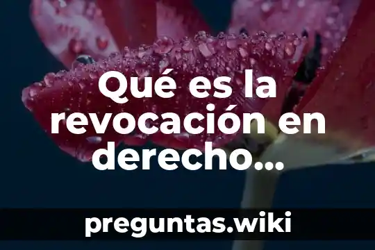 Qué es la revocación en derecho procesal civil