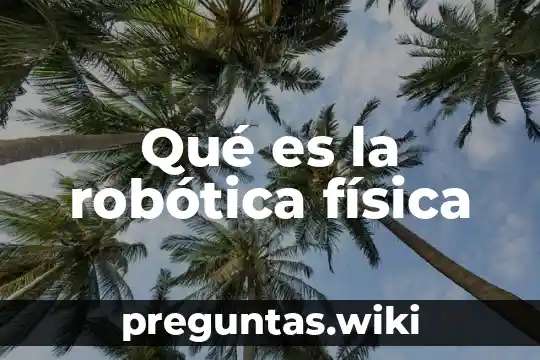 Qué es la robótica física