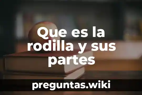 Que es la rodilla y sus partes