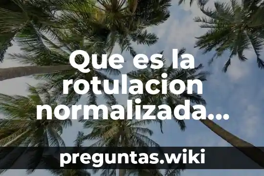 Que es la rotulacion normalizada concepto
