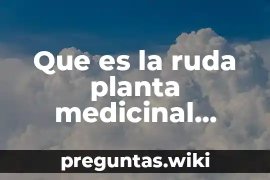 Que es la ruda planta medicinal como usarla