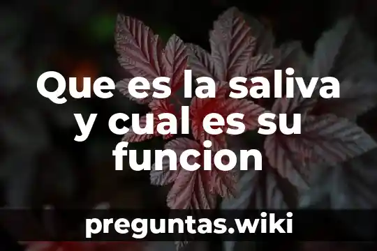 Que es la saliva y cual es su funcion
