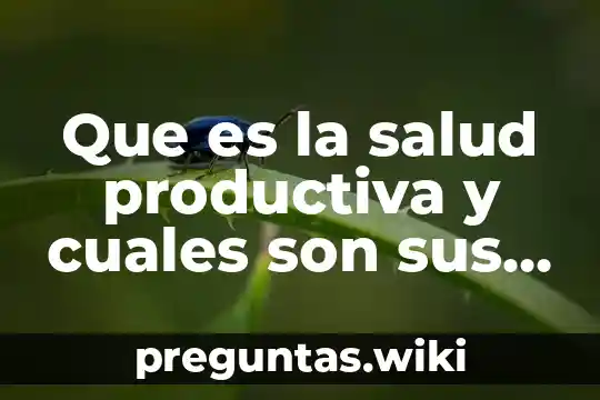 Que es la salud productiva y cuales son sus derechos
