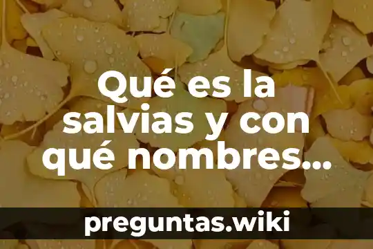 Qué es la salvias y con qué nombres se conoce