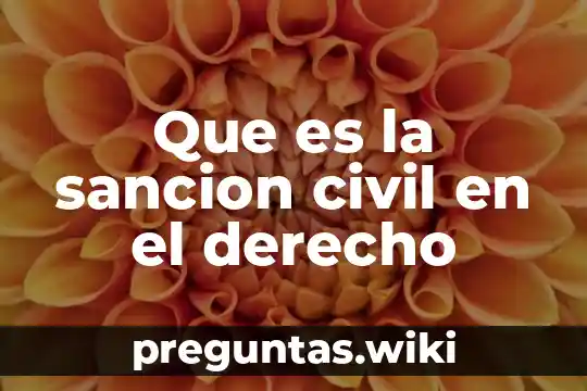 Que es la sancion civil en el derecho