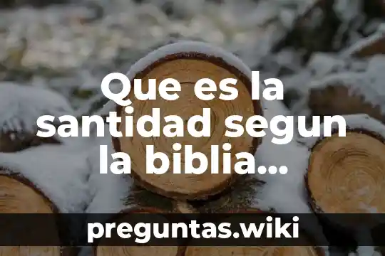 Que es la santidad segun la biblia catolica