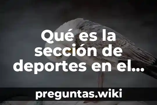 Qué es la sección de deportes en el periódico