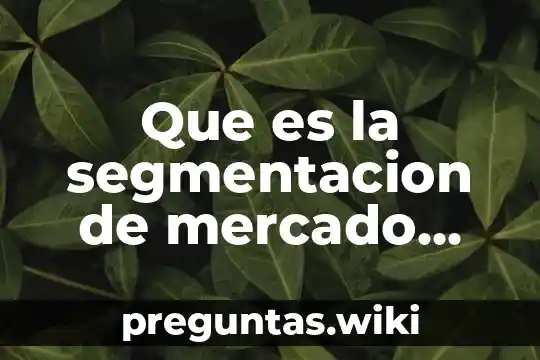 Que es la segmentacion de mercado demografica