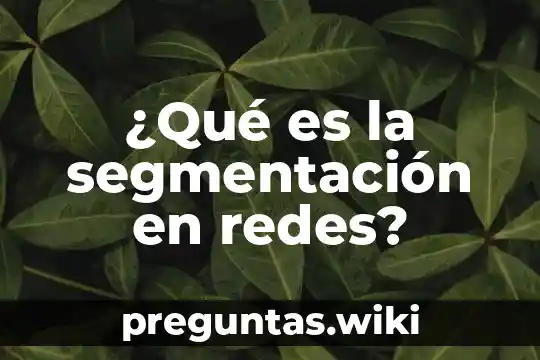 ¿Qué es la segmentación en redes?
