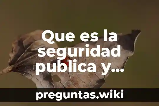 Que es la seguridad publica y nacional