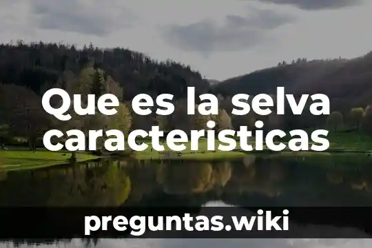 Que es la selva caracteristicas
