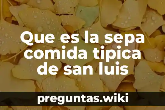 Que es la sepa comida tipica de san luis