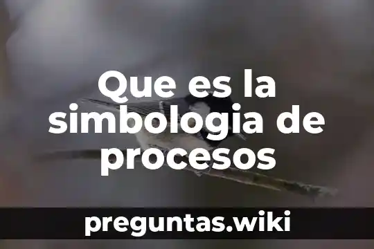Que es la simbologia de procesos
