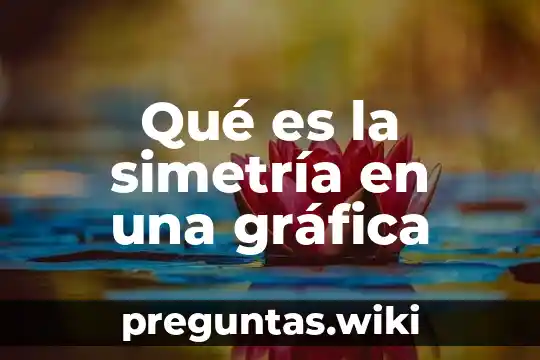 Qué es la simetría en una gráfica