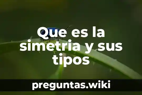 Que es la simetria y sus tipos