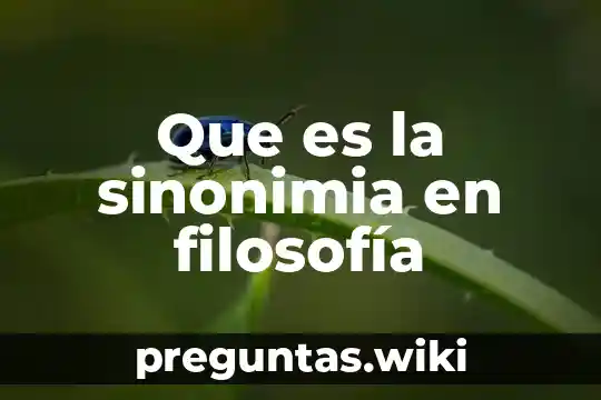 Que es la sinonimia en filosofía