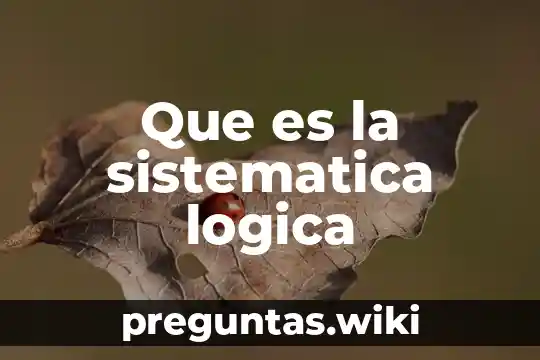 Que es la sistematica logica
