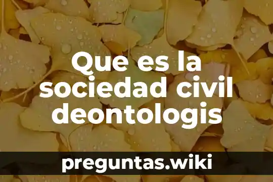 Que es la sociedad civil deontologis