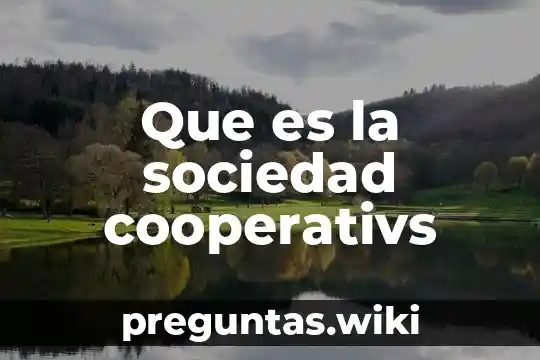 Que es la sociedad cooperativs