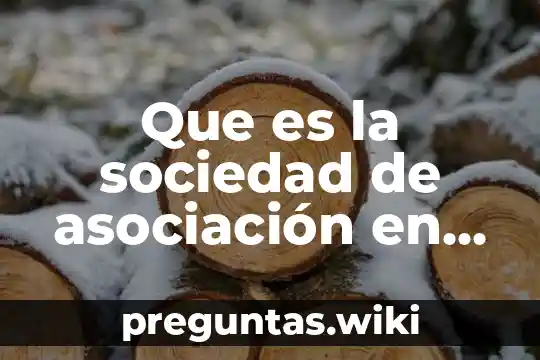 Que es la sociedad de asociación en participación