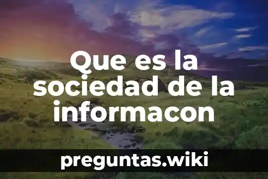 Que es la sociedad de la informacon