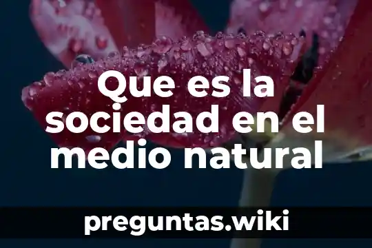 Que es la sociedad en el medio natural