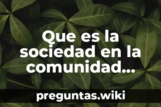Que es la sociedad en la comunidad socialista