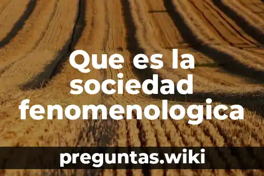 Que es la sociedad fenomenologica