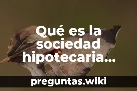 Qué es la sociedad hipotecaria federal funciones