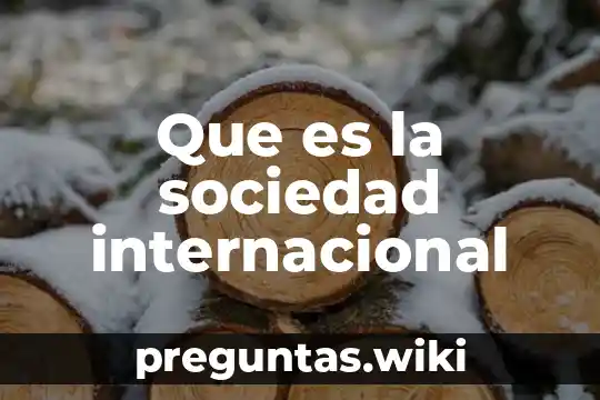 Que es la sociedad internacional