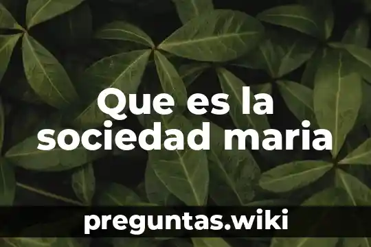 Que es la sociedad maria