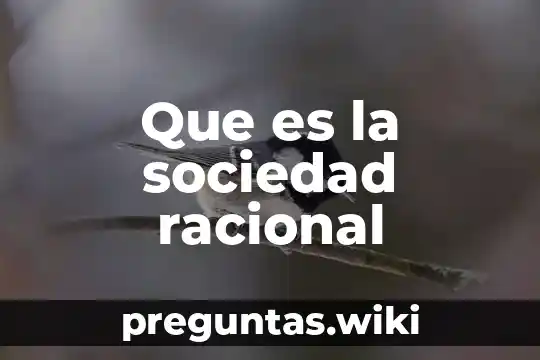 Que es la sociedad racional