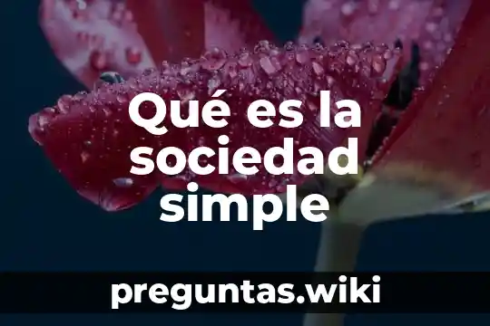 Qué es la sociedad simple