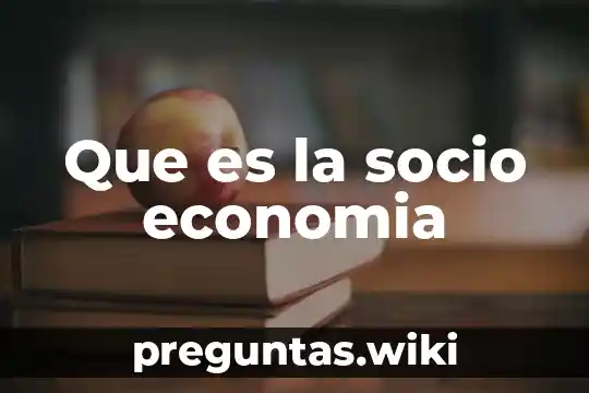 Que es la socio economia
