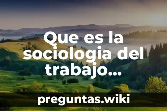 Que es la sociologia del trabajo definicion