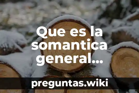 Que es la somantica general sistemas de identificacion
