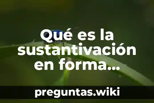 Qué es la sustantivación en forma irregular