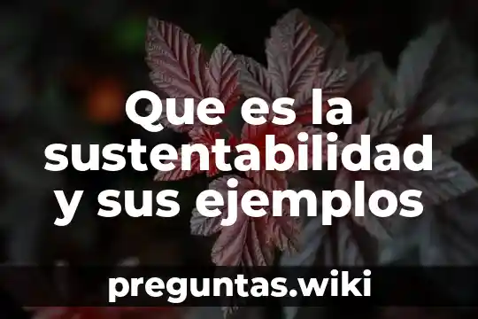 Que es la sustentabilidad y sus ejemplos