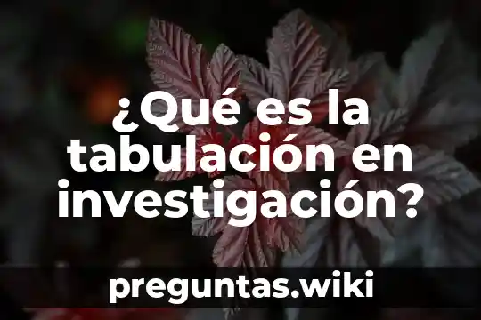 ¿Qué es la tabulación en investigación?