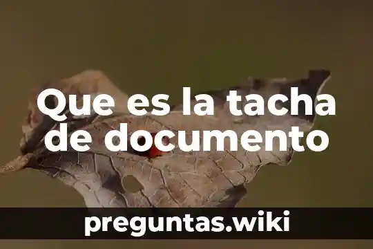 Que es la tacha de documento