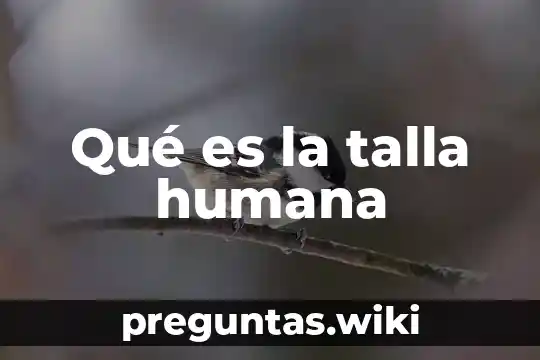 Qué es la talla humana