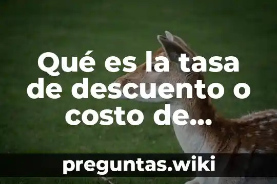 Qué es la tasa de descuento o costo de capital