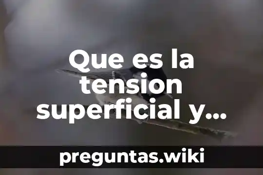 Que es la tension superficial y ejemplos