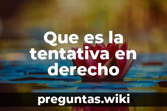 Que es la tentativa en derecho