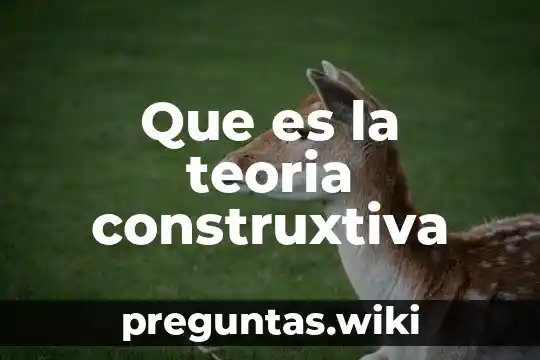 Que es la teoria construxtiva