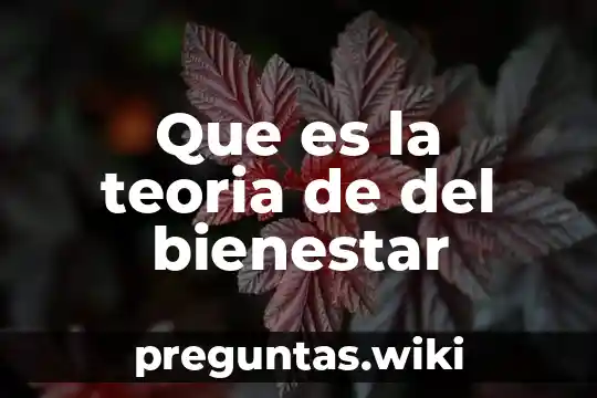 Que es la teoria de del bienestar