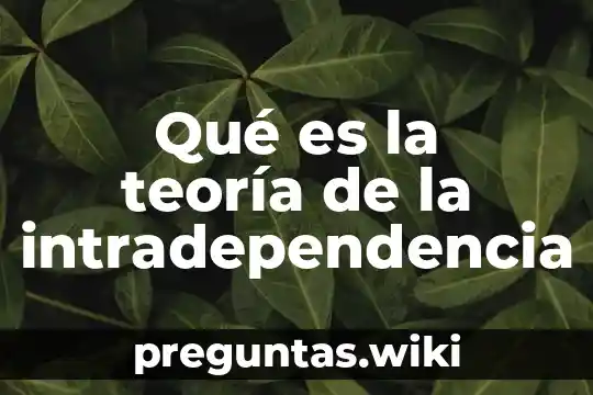 Qué es la teoría de la intradependencia