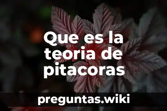 Que es la teoria de pitacoras