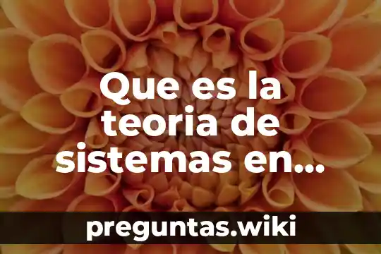 Que es la teoria de sistemas en trabajo social