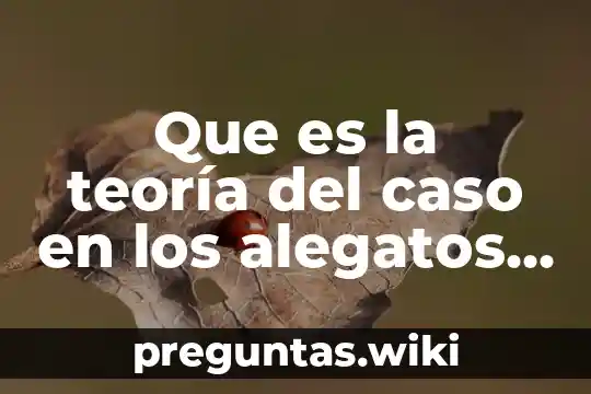 Que es la teoría del caso en los alegatos iniciales